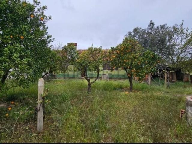 Quinta venda em Silha do Pascoal, Grândola