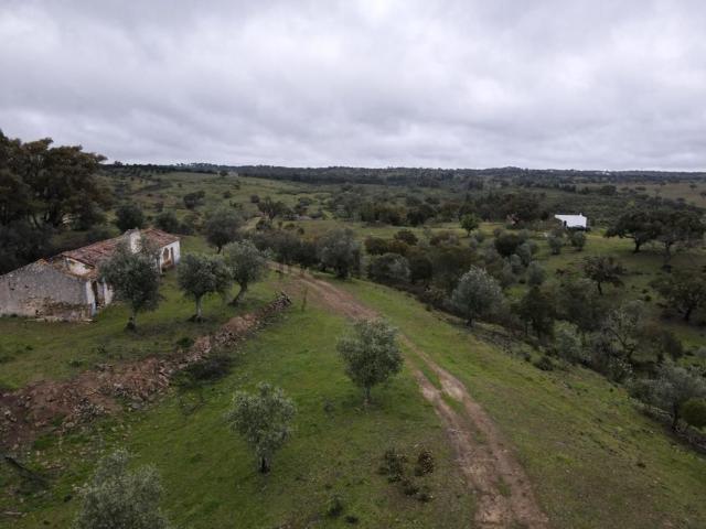 Quinta venda em Mosqueirões, Grândola