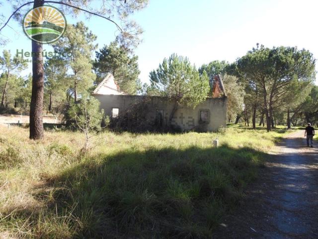 Quinta venda em Grândola, Setúbal