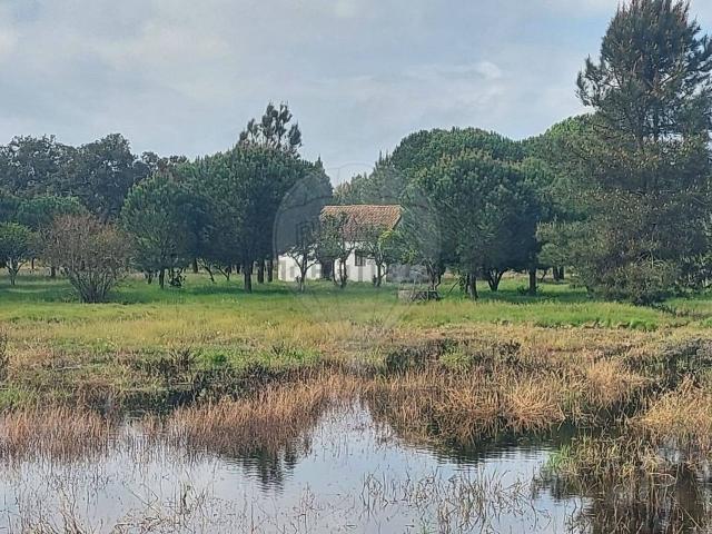 Quinta venda em Milharadas, Grândola