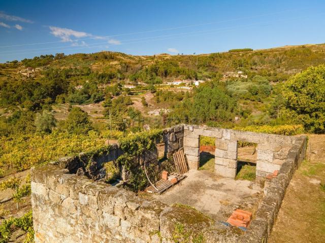 Quinta venda em Baião, Porto