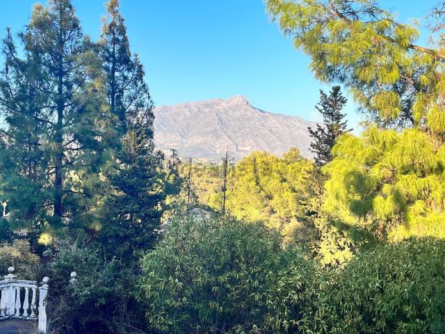 Casa Rural en venta en Marbella