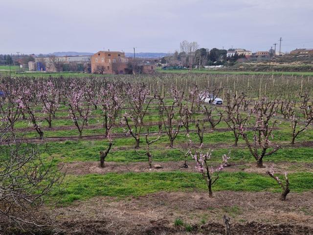 Casa Rural en venta en Gualda, Segrià