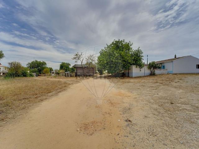 Quinta venda em Guia, Poço das Canas