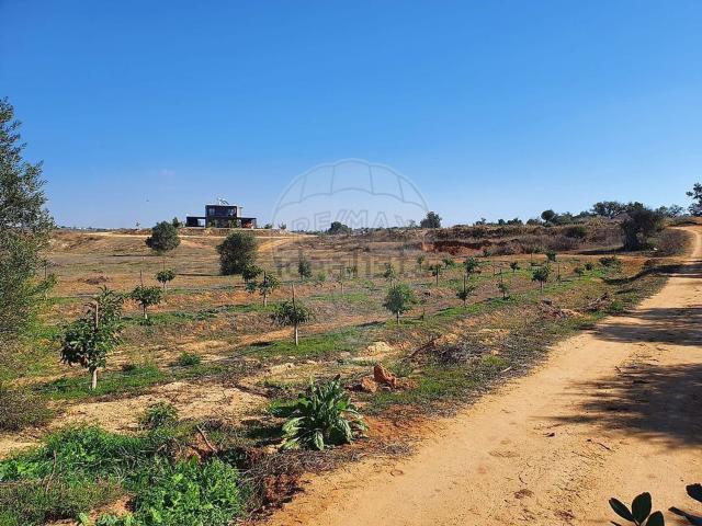Quinta venda em Albufeira, Faro