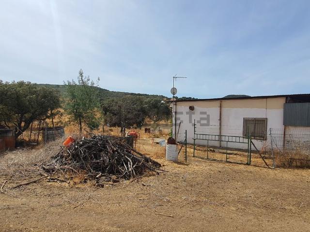 Casa Rural en venta en Horcajo De Los Montes, Castilla-La Mancha