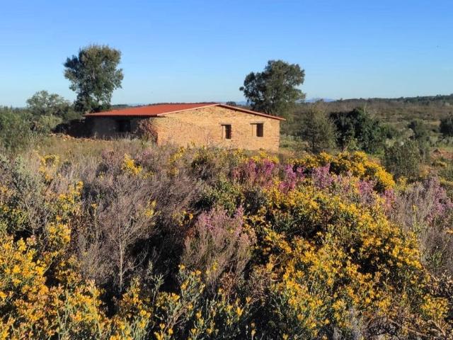 Casa Rural en venta en Hoyos, Extremadura