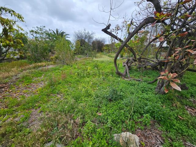 Casa Rural en venta en Icod de los Vinos, Canarias