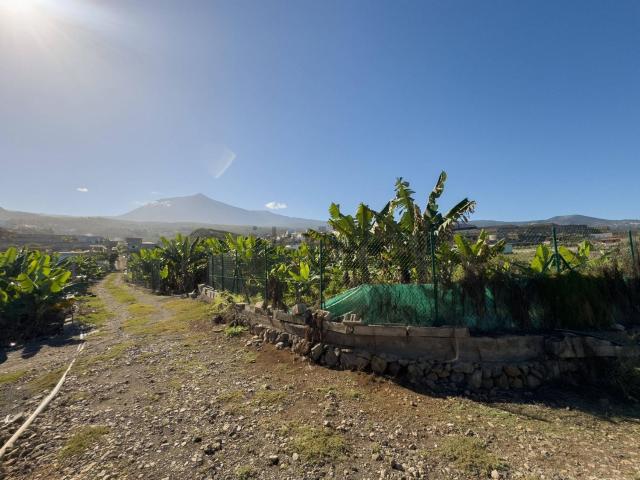 Casa Rural en venta en La Guancha, Canarias