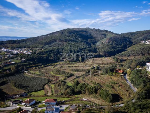 Quinta venda em Felgueiras, Idães