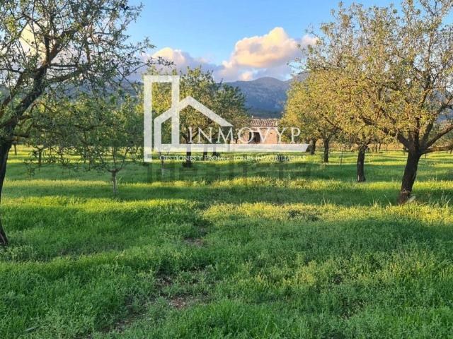 Casa Rural en venta en Raiguer, Baleares