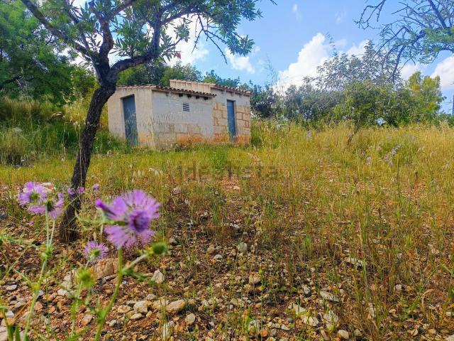 Casa Rural en venta en Inca, es Blanquer