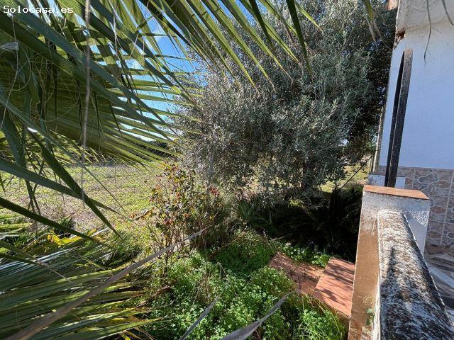 Casa en venta en la Ribera Alta, Valencia