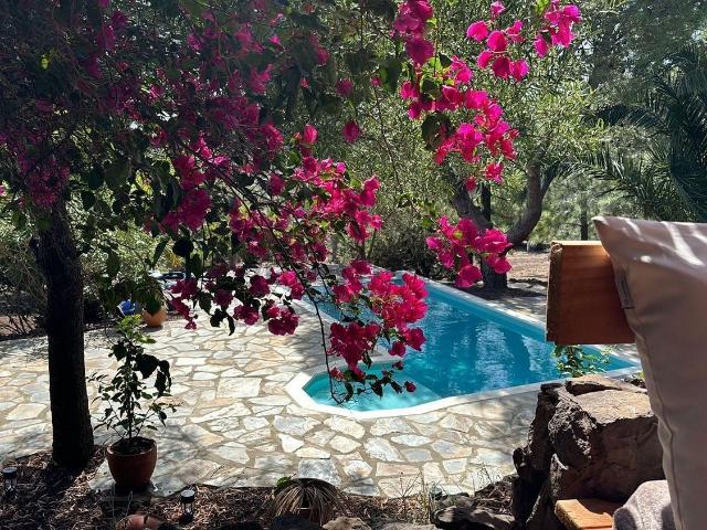 Casa Rural en venta en Pasadilla, Ingenio