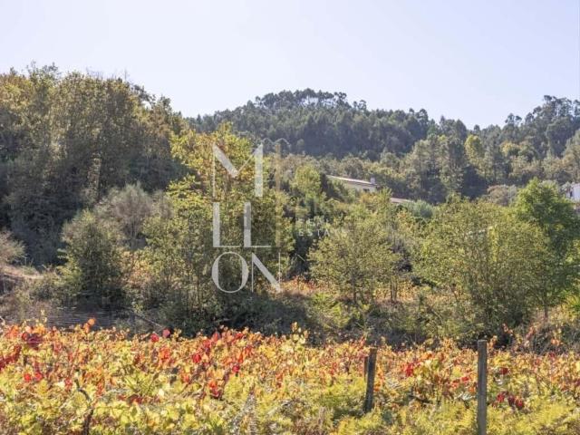 Quinta venda em Amarante, Porto