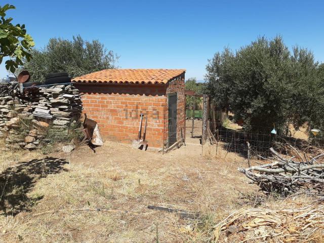 Casa Rural en venta en Jerte, Extremadura