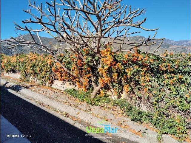 Casa Rural en venta en Almuñécar, Granada