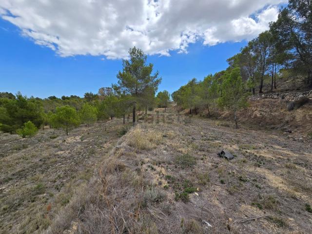 Casa Rural en venta en Urbanització El Tossal, La Nucia