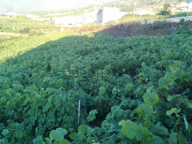 Casa Rural en venta en La orotava, Tenerife