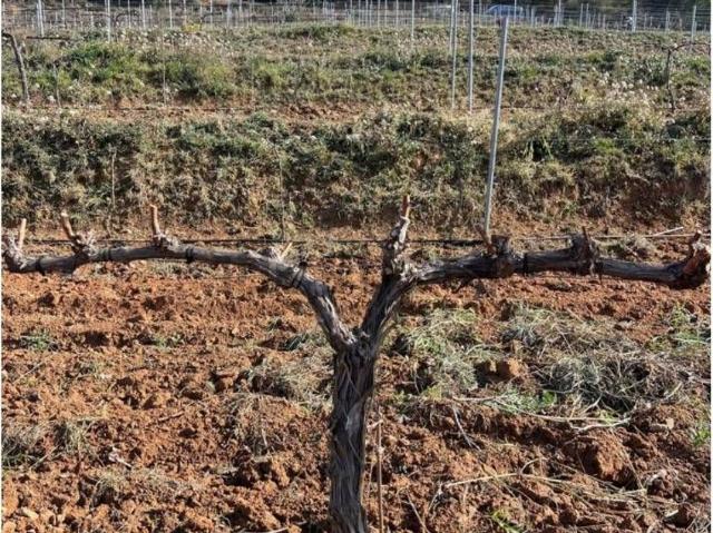 Casa Rural en venta en Priorat, Catalunya