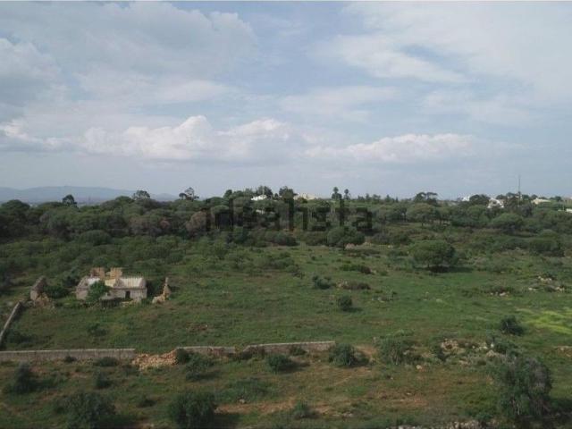 Quinta venda em Lagoa, Faro