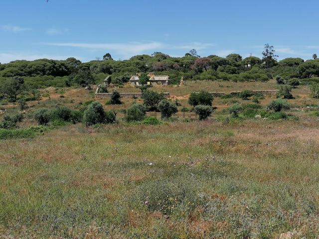 Quinta venda em Carvoeiro, Lagoa