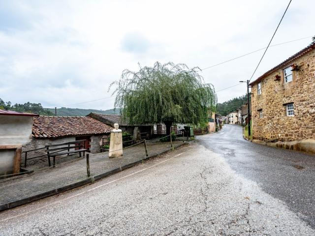 Quinta venda em Lamas, Lamas