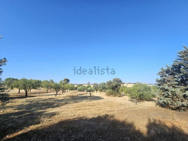 Casa Rural en venta en Las Casas, Ciudad Real