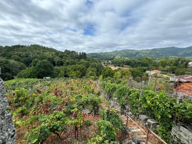 Casa Rural en venta en San Amaro, Ourense