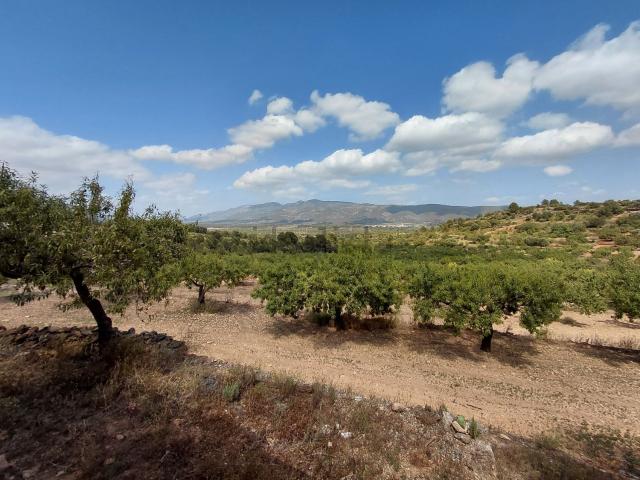 Casa Rural en venta en l'Alcalatén, Valencia