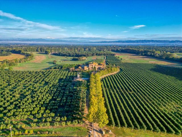 Casa Rural en venta en Llagostera, Fonollerons