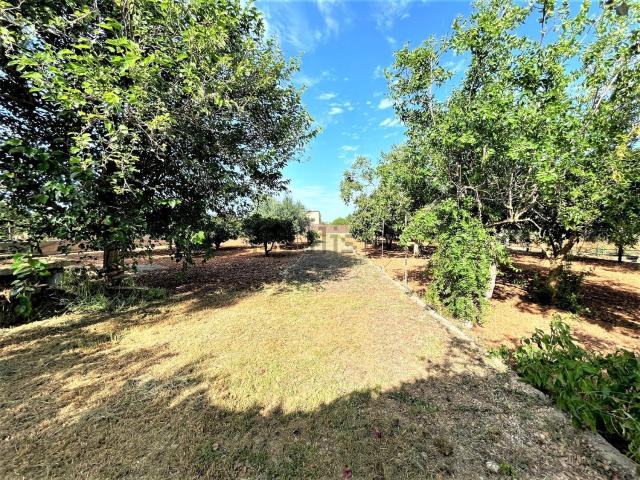 Casa Rural en venta en Lloseta, Baleares