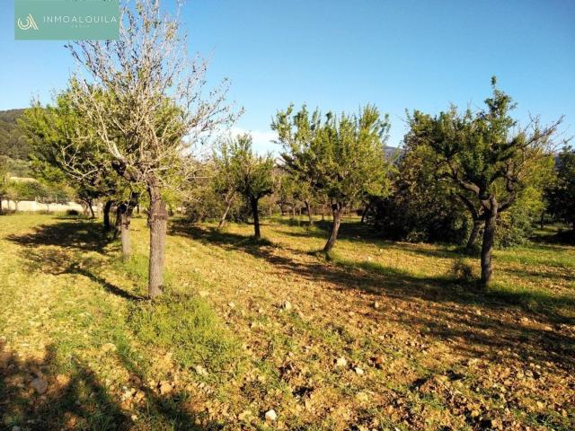 Casa Rural en venta en Raiguer, Baleares
