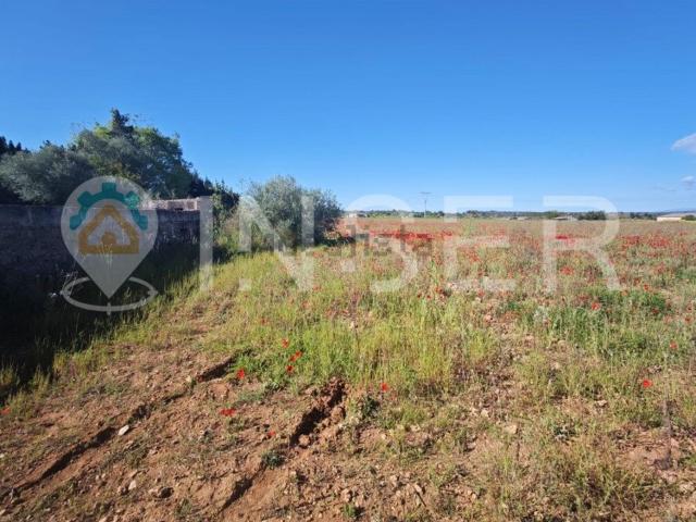 Casa Rural en venta en Llubí
