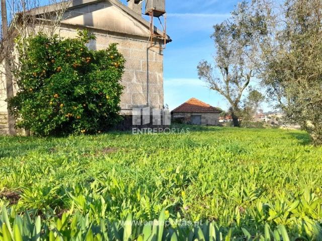 Quinta venda em Amarante, Porto