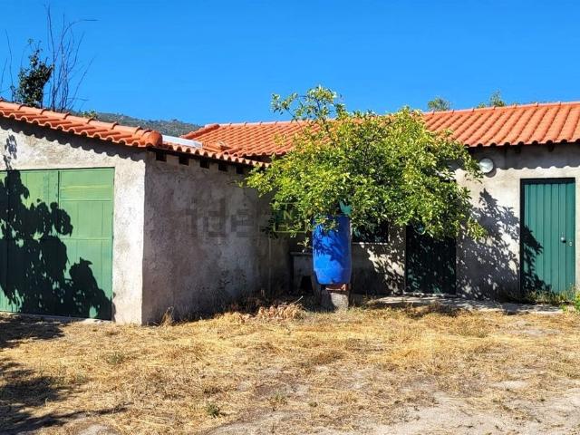 Quinta venda em Castelo Branco