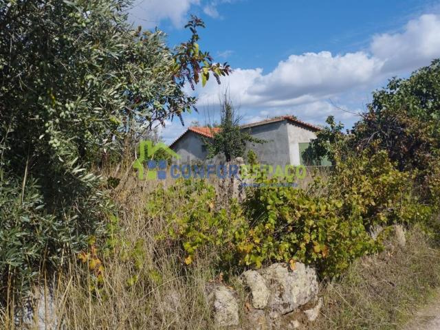 Quinta venda em Castelo Branco