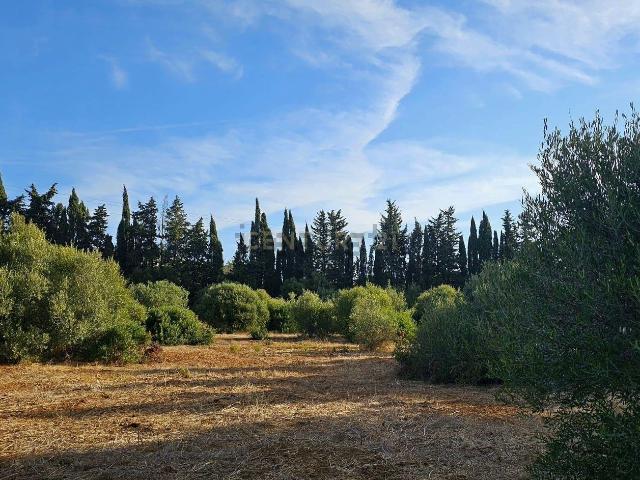 Quinta venda em Lagos, Faro