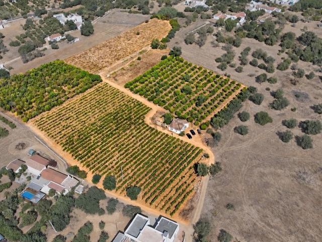 Quinta venda em Luz de Tavira, Tavira