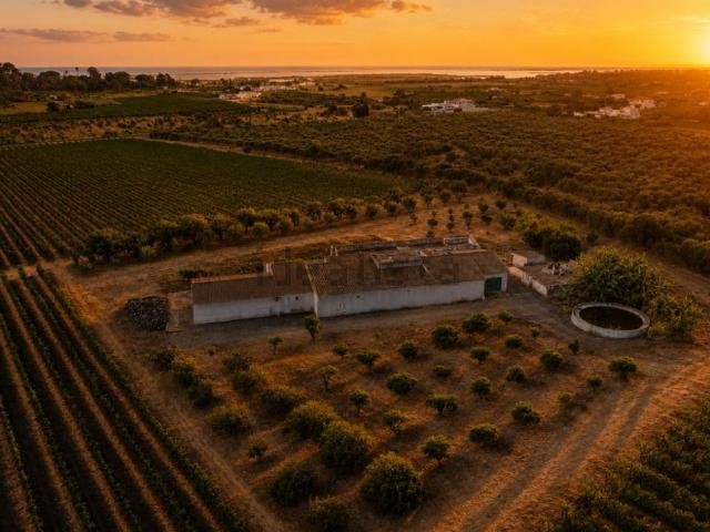 Quinta venda em Luz de Tavira, Tavira