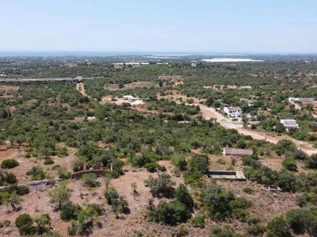 Quinta venda em Prego, Tavira