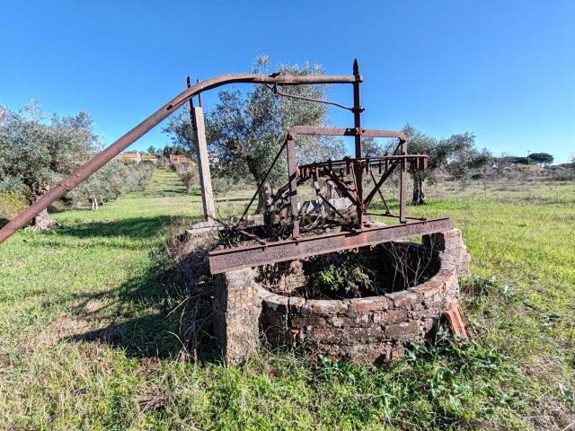 Quinta venda em Madalena e Beselga, Tomar