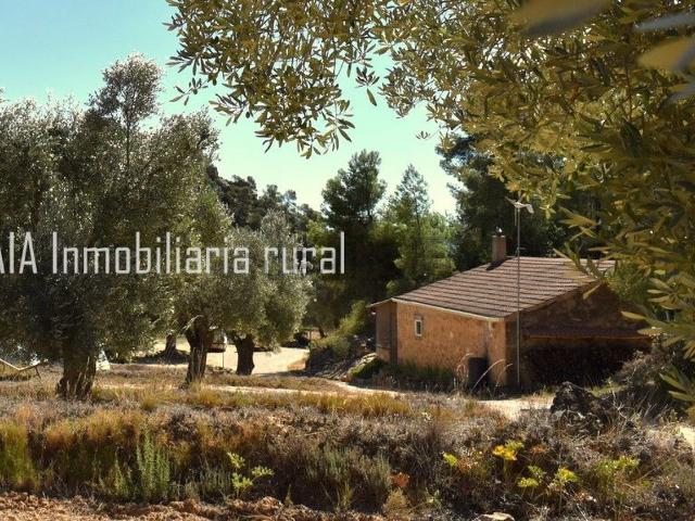 Casa Rural en venta en Maella, Zaragoza