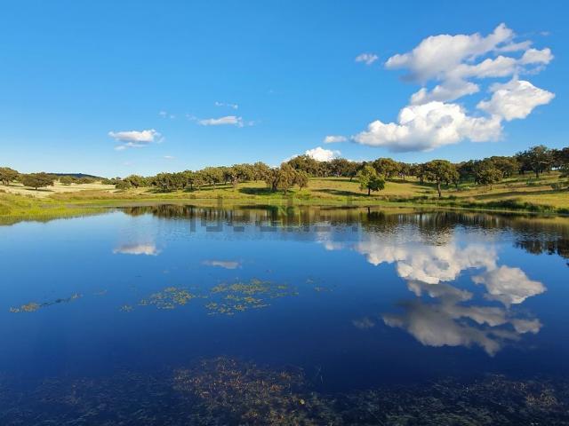 Quinta venda em Castelo Branco