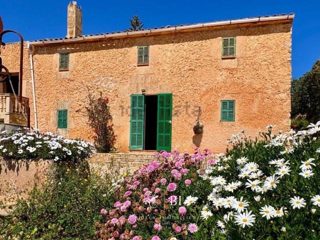 Casa Rural en venta en Manacor, Llevant