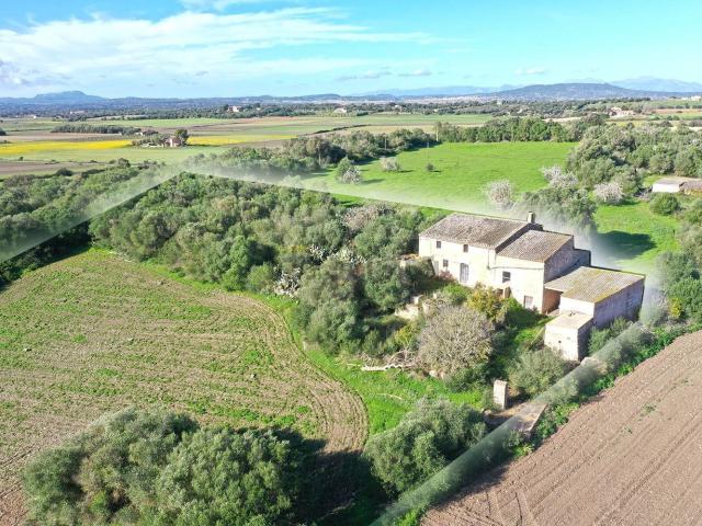Casa Rural en venta en Algaida