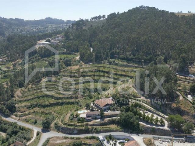 Quinta venda em Louredo, Fregim