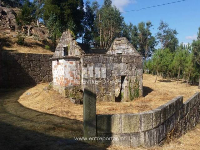 Quinta venda em Rio de Galinhas, Marco De Canaveses