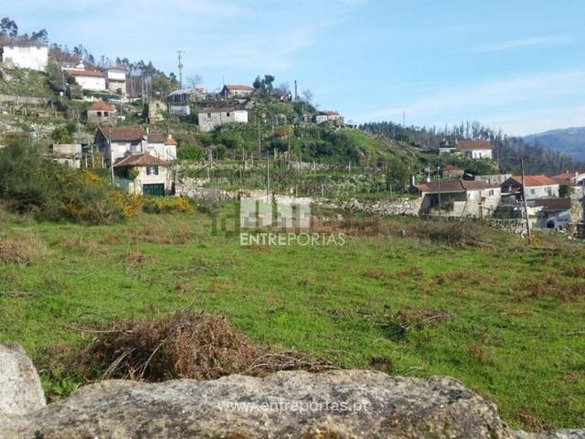 Quinta venda em Rio de Galinhas, Marco De Canaveses