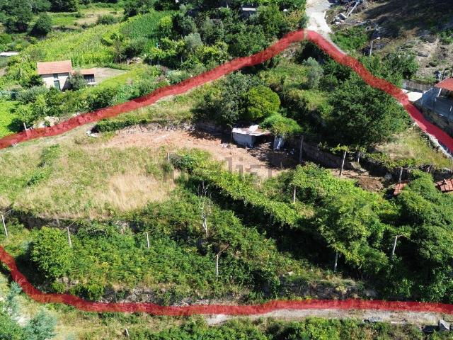 Quinta venda em Canhões, Tabuado